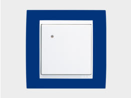 blueSmart Leser